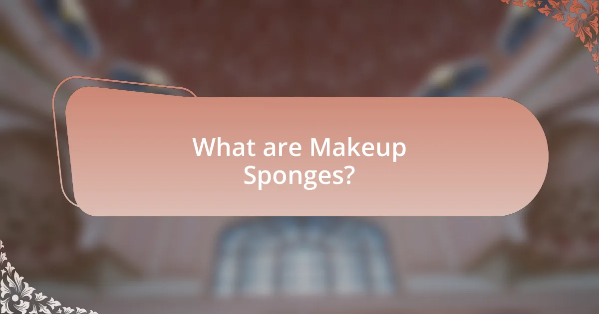 What are Makeup Sponges?