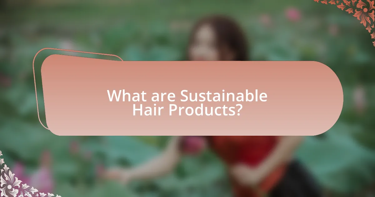 What are Sustainable Hair Products?