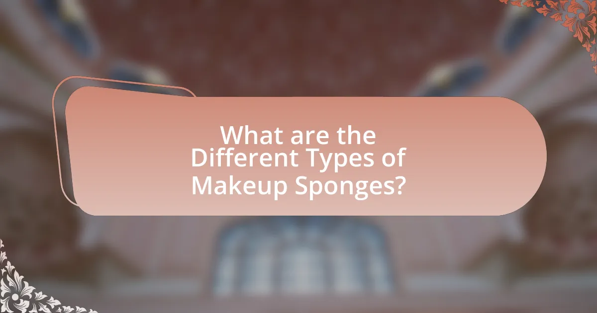 What are the Different Types of Makeup Sponges?