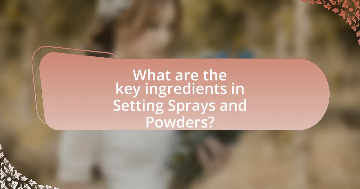 What are the key ingredients in Setting Sprays and Powders?